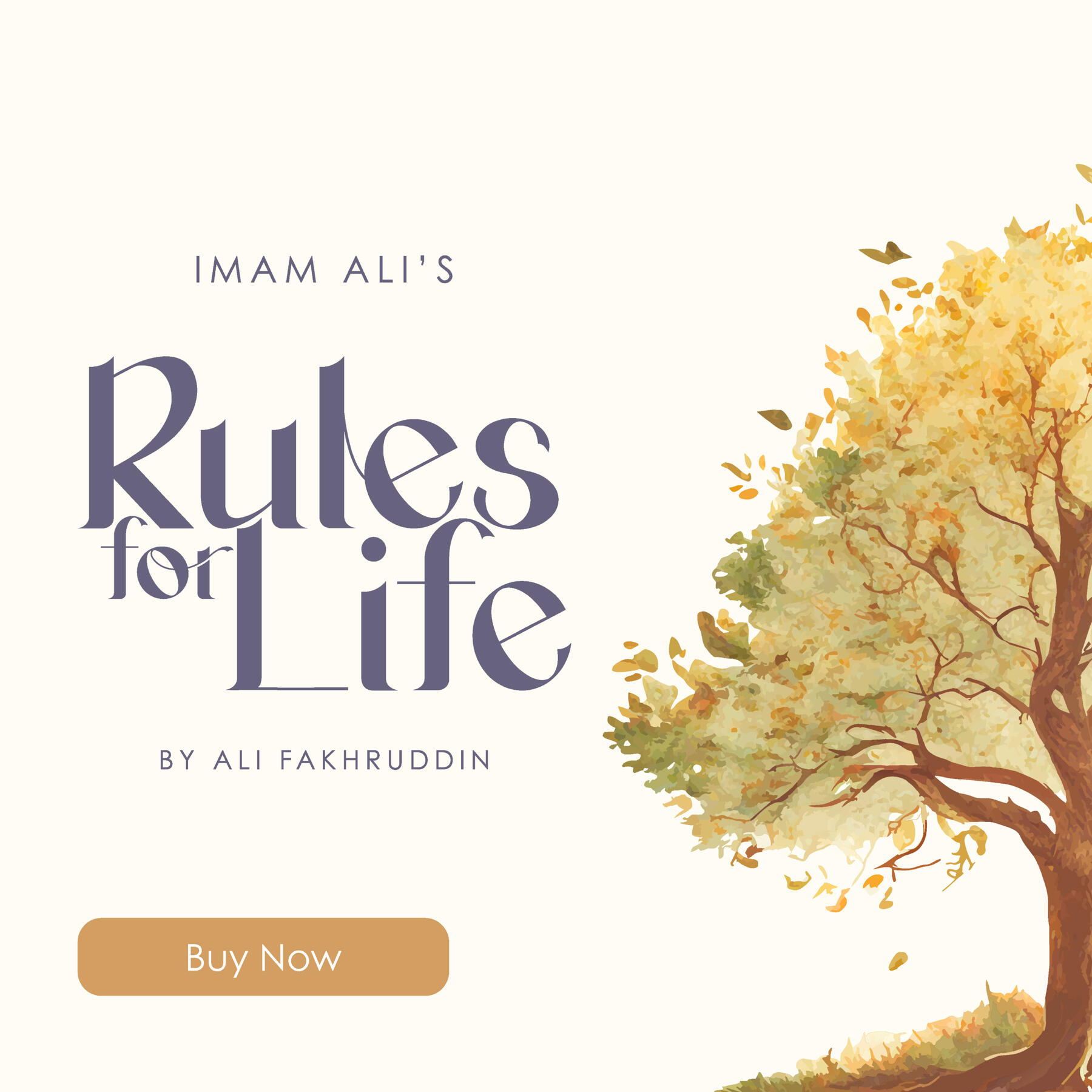 Ali Fakhruddin Portfolio